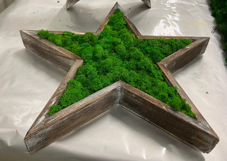 Holzsterne Workshop - 3 Sterne mit Islandmoos