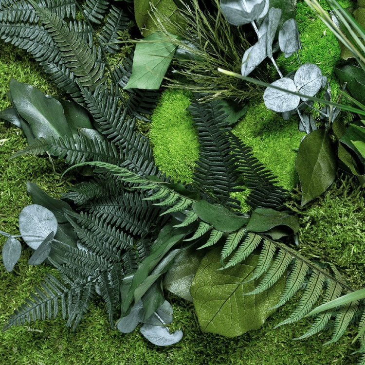 Dschungelbild 100x60 cm - EVADORA