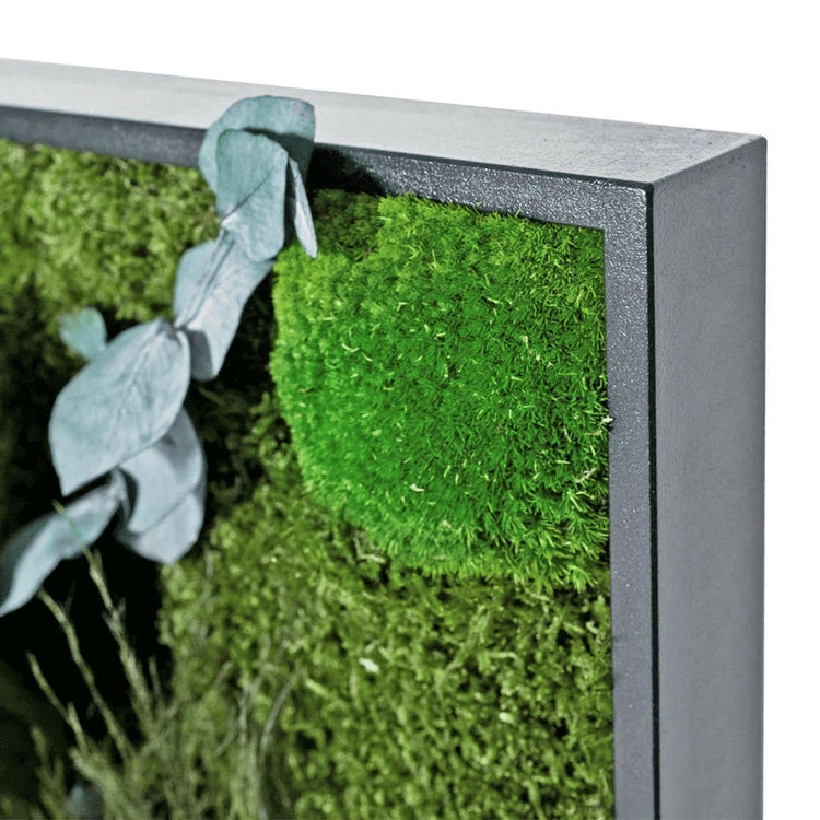 Dschungelbild 140x40 cm - EVADORA