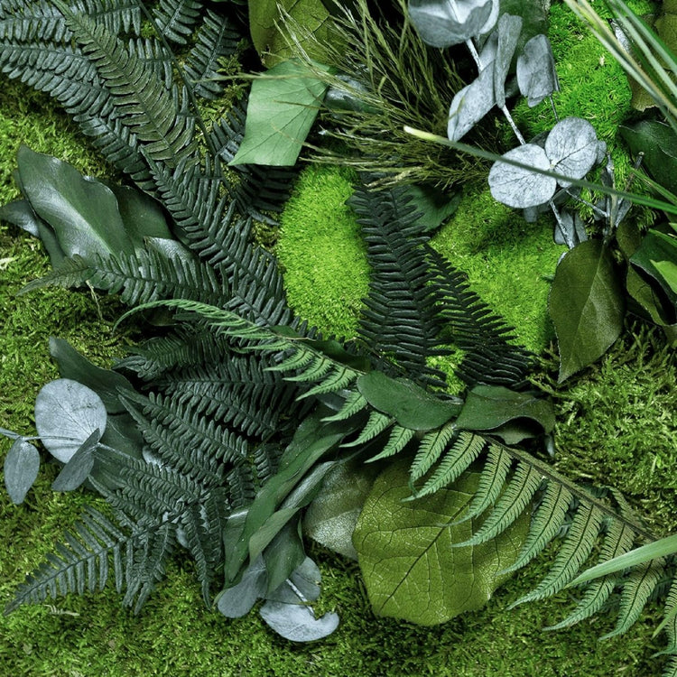 Dschungelbild 140x40 cm - EVADORA