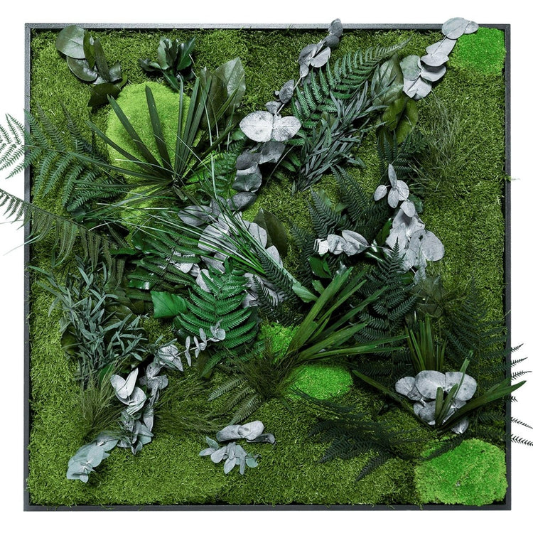 Dschungelbild 80x80 cm - EVADORA