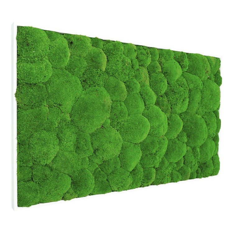 Moosbild Hügelmoos 100x60 cm - EVADORA
