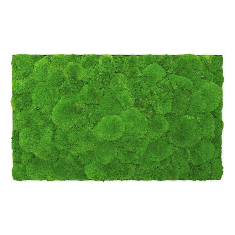 Moosbild Hügelmoos 100x60 cm - EVADORA