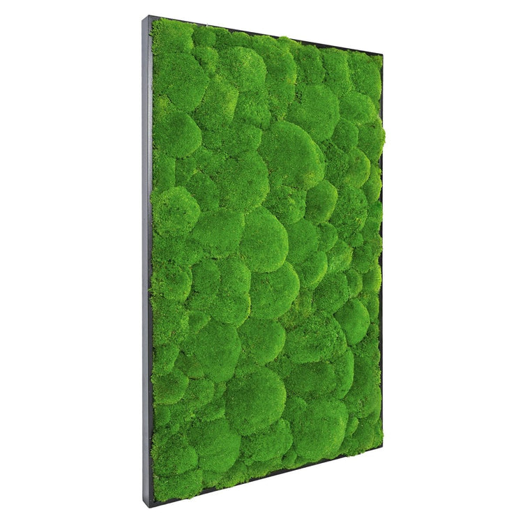 Moosbild Hügelmoos 100x60 cm - EVADORA