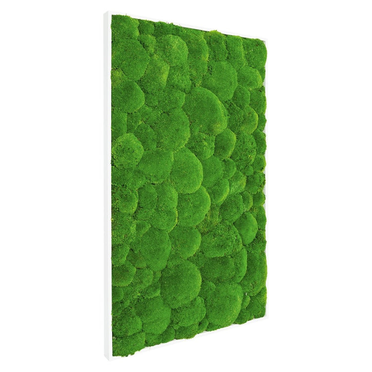 Moosbild Hügelmoos 100x60 cm - EVADORA