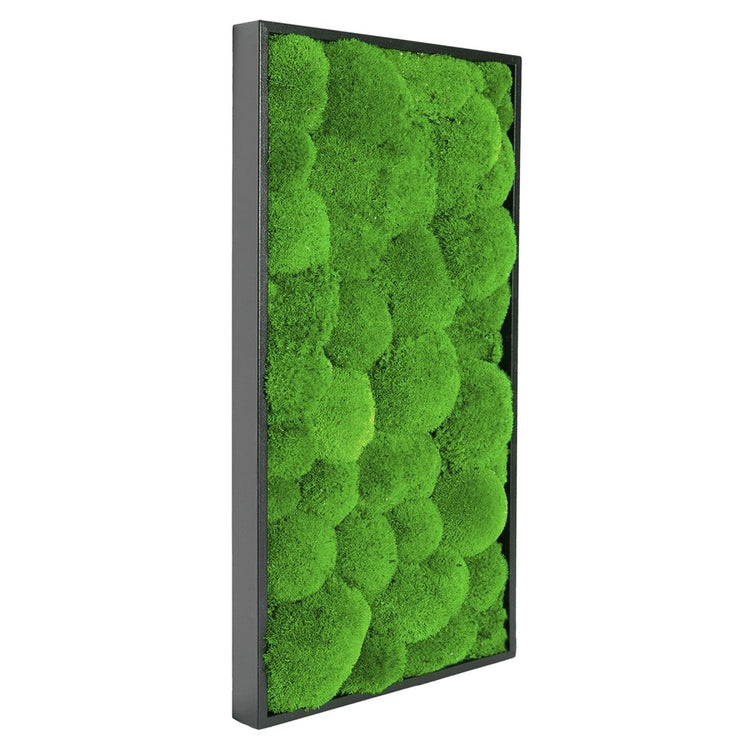 Moosbild Hügelmoos 60x30 cm - EVADORA