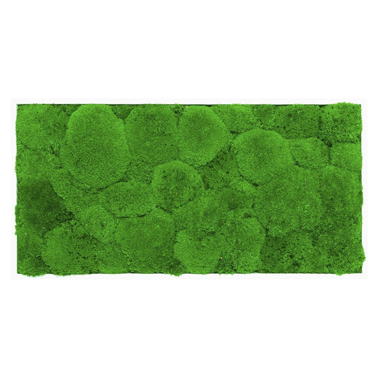 Moosbild Hügelmoos 60x30 cm - EVADORA