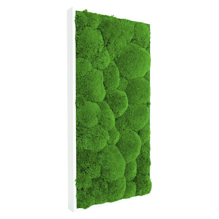 Moosbild Hügelmoos 60x30 cm - EVADORA