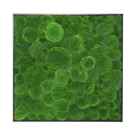 Moosbild Hügelmoos 80x80 cm - EVADORA