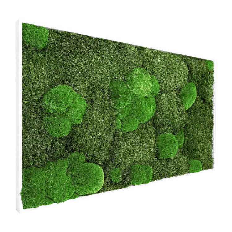 Moosbild Mix-Moos 100x60 cm - EVADORA