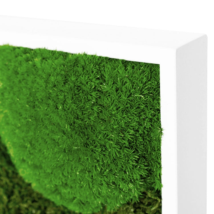 Moosbild Mix-Moos 100x60 cm - EVADORA