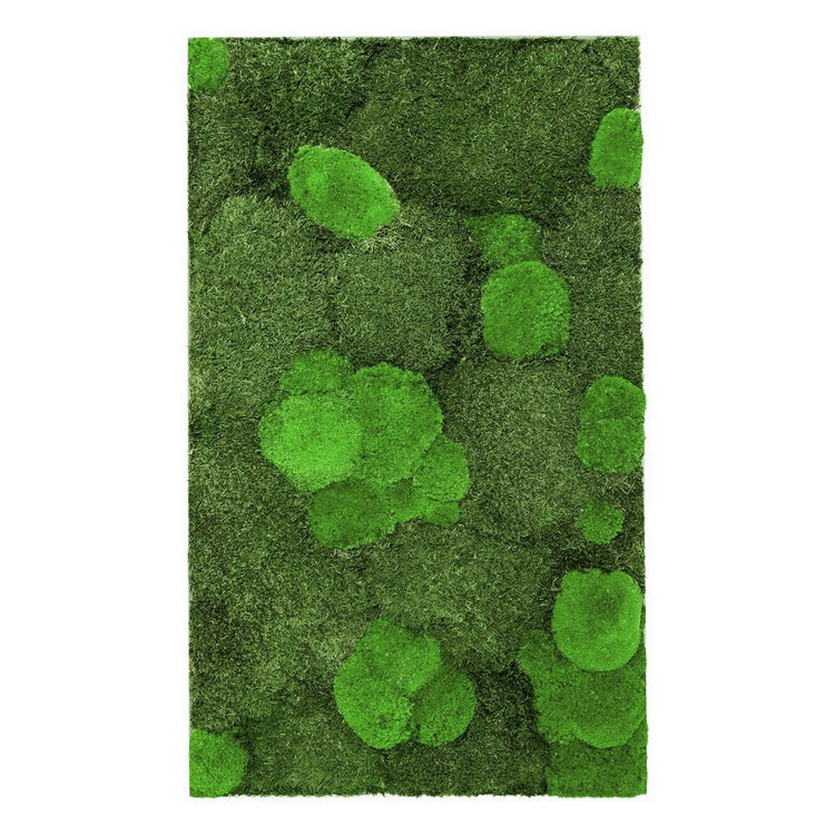 Moosbild Mix-Moos 100x60 cm - EVADORA