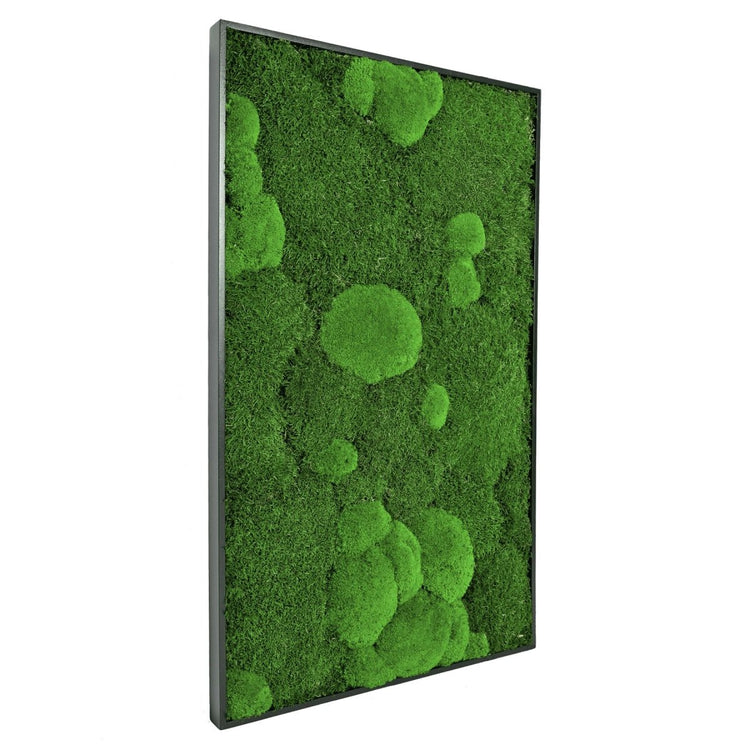 Moosbild Mix-Moos 100x60 cm - EVADORA