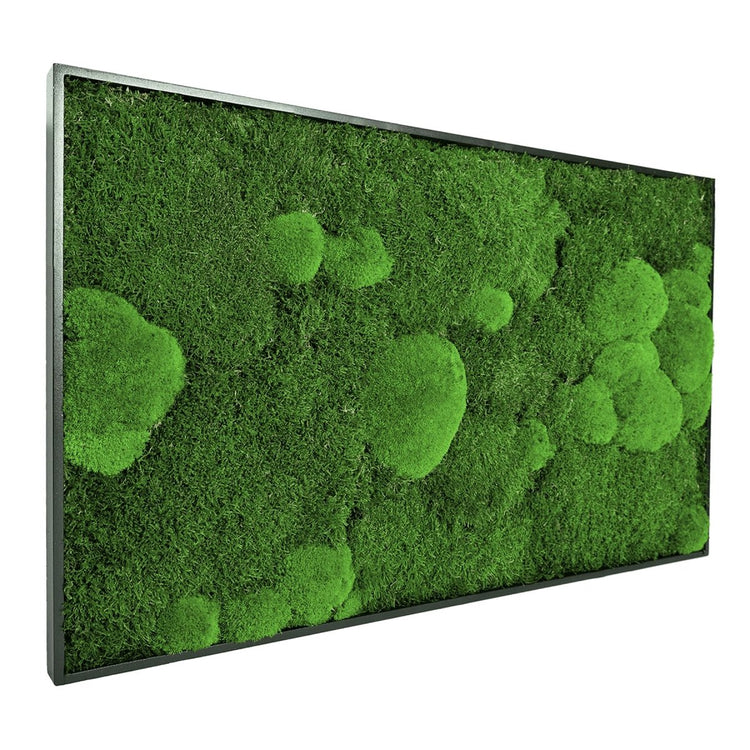 Moosbild Mix-Moos 100x60 cm - EVADORA