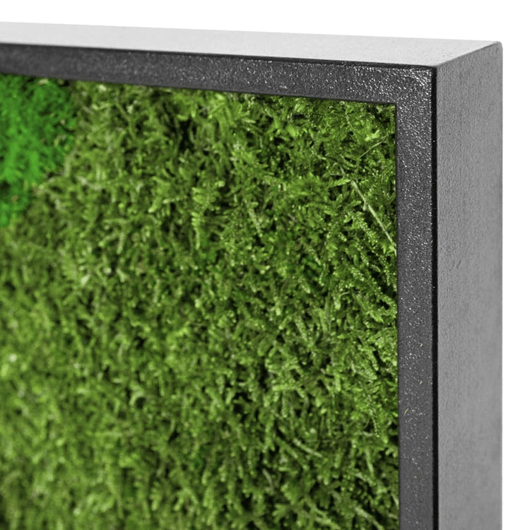 Moosbild Mix-Moos 100x60 cm - EVADORA