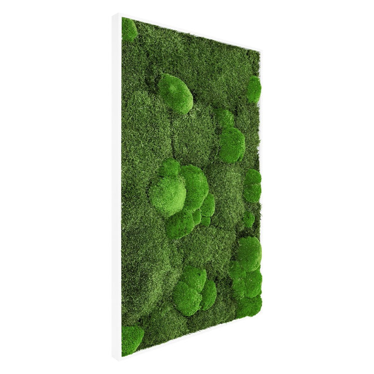 Moosbild Mix-Moos 100x60 cm - EVADORA