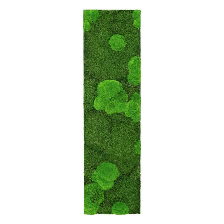 Moosbild Mix-Moos 140x40 cm - EVADORA