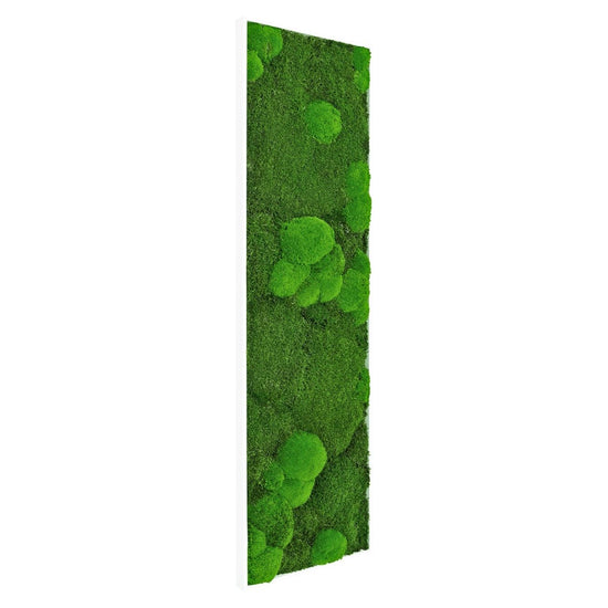 Moosbild Mix-Moos 140x40 cm - EVADORA