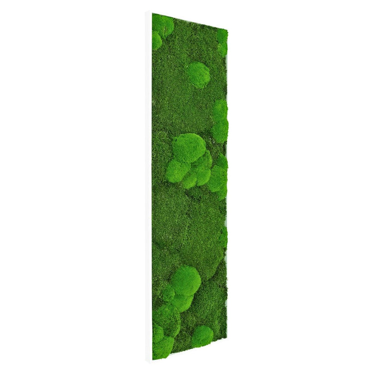 Moosbild Mix-Moos 140x40 cm - EVADORA