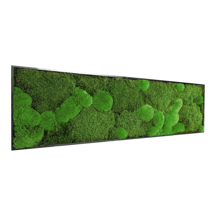 Moosbild Mix-Moos 140x40 cm - EVADORA