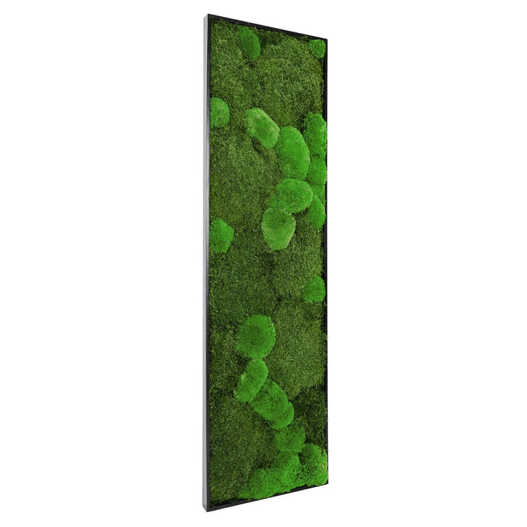 Moosbild Mix-Moos 140x40 cm - EVADORA