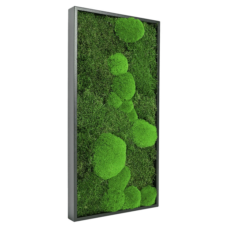 Moosbild Mix-Moos 60x30 cm - EVADORA