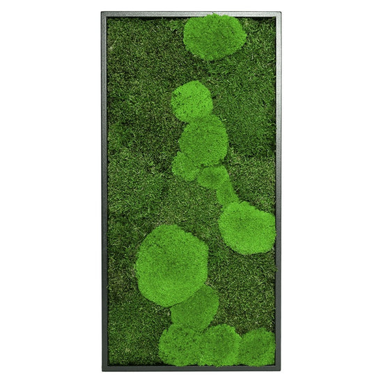 Moosbild Mix-Moos 60x30 cm - EVADORA
