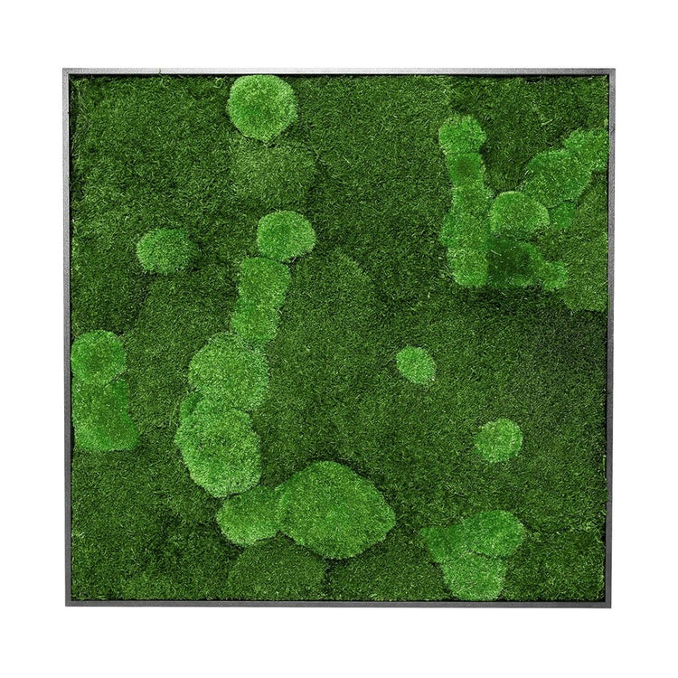 Moosbild Mix-Moos 80x80 cm - EVADORA