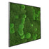 Moosbild Mix-Moos 80x80 cm - EVADORA