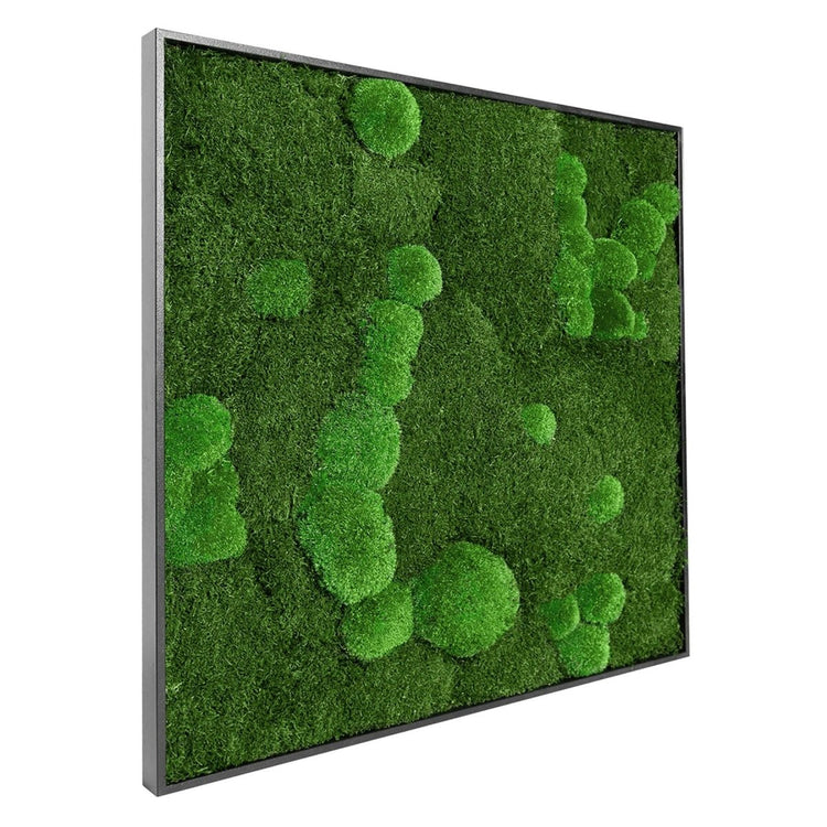 Moosbild Mix-Moos 80x80 cm - EVADORA