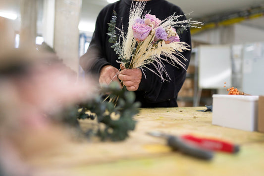 Workshops