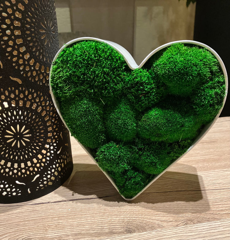 Moosschale Herz Hügelmoos