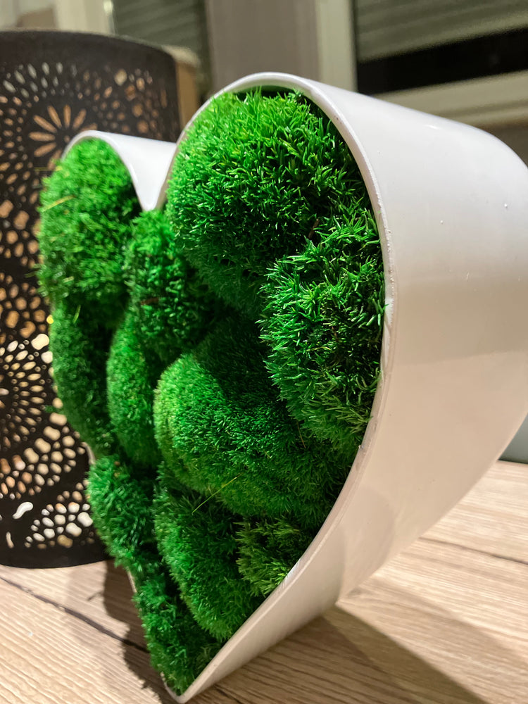 Moosschale Herz Hügelmoos