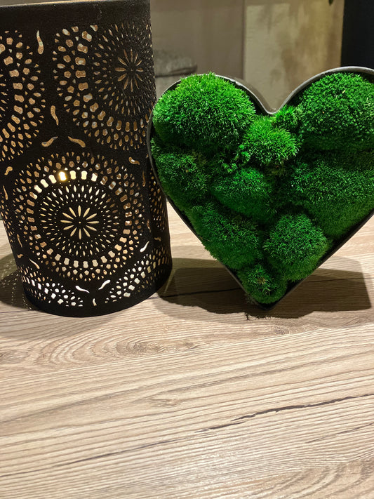 Moosschale Herz Hügelmoos