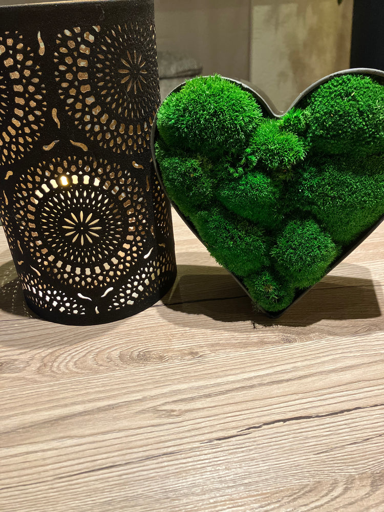 Moosschale Herz Hügelmoos