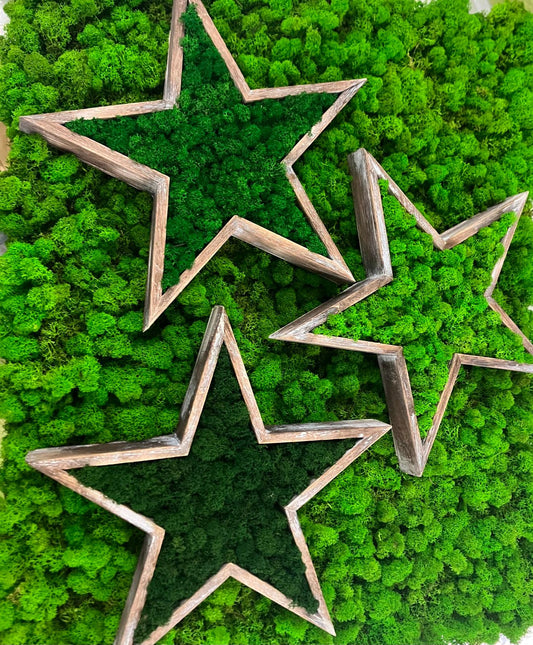 Holzsterne Workshop - 3 Sterne mit Islandmoos