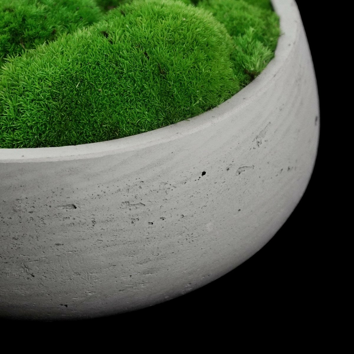 Moosschale im Pottery Pot